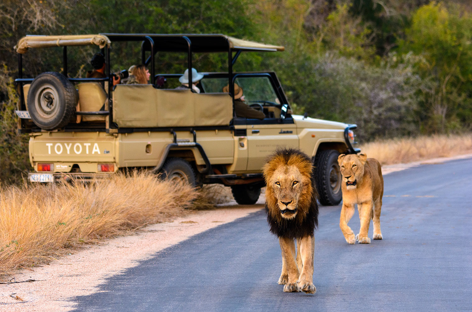 12-Days-Uganda-Primates-Wildlife-Safari
