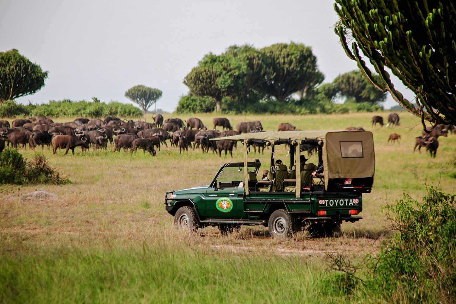 mweyasafarilodge14